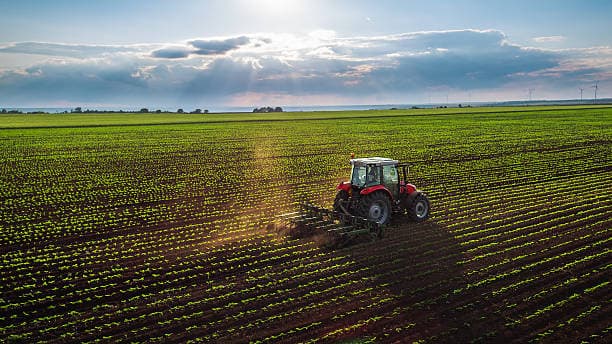 Agricultural vision